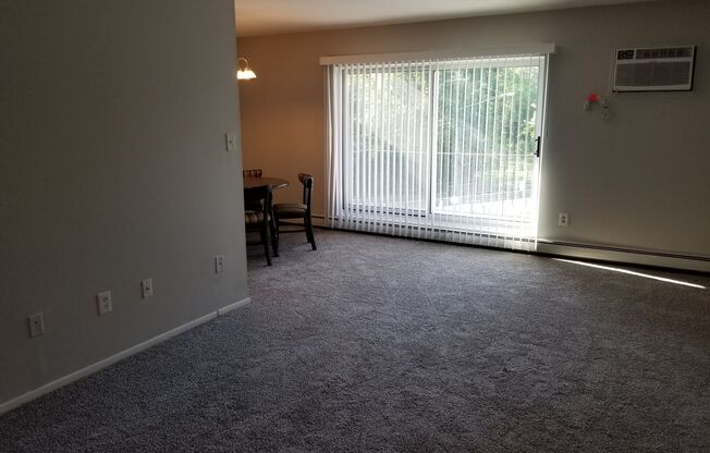 Chagrin Falls condo for rent