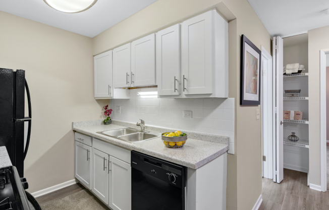 Kitchen Cabinets & Storage Closet | Apartments For Rent in Mount Prospect Illinois | The Element