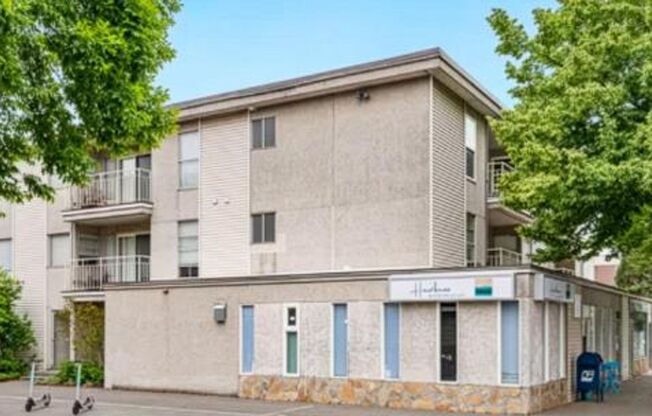La Premiere Apartments | Prime North Admiral Location