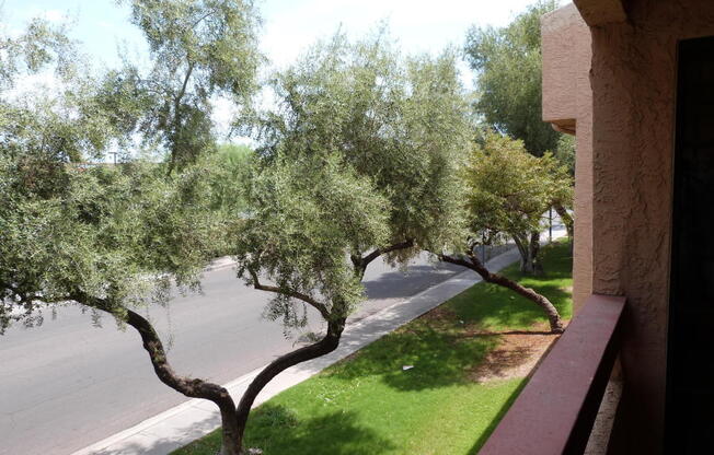 1 bed, 1 bath, $799, Unit # 207