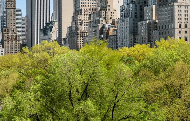 15 CENTRAL PARK W