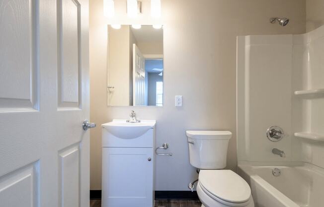 a bathroom with a toilet and a sink and a mirror