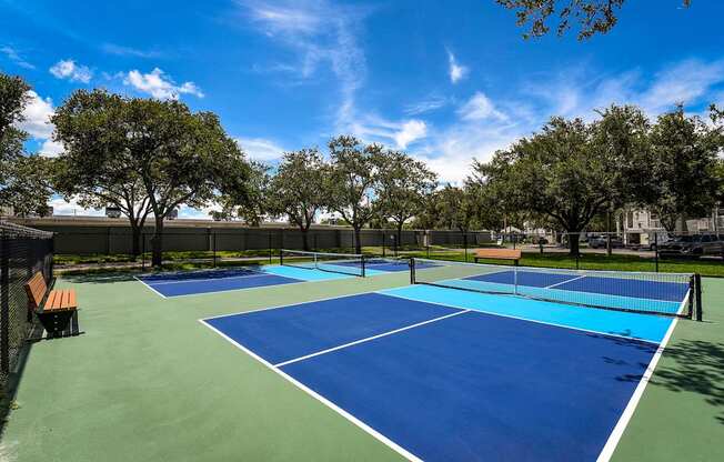 Dominum_Lucille_Pickleball Court 2.jpg