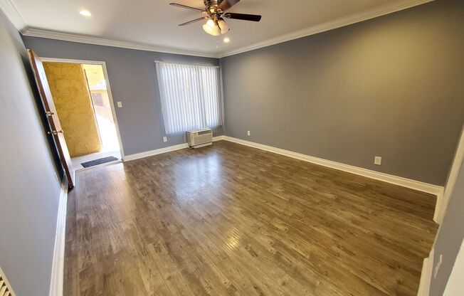 Studio, 1 bath, 360 sqft, $1,600