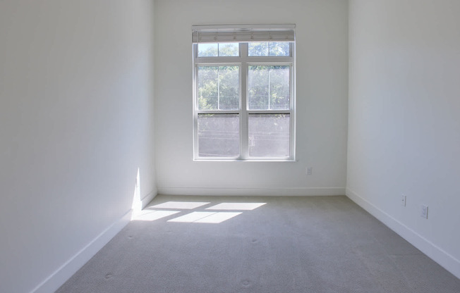 Carpeted Bedroom