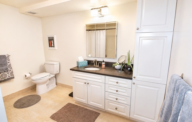 2 beds, 2 baths, 1,223 sqft, $5,095, Unit 306