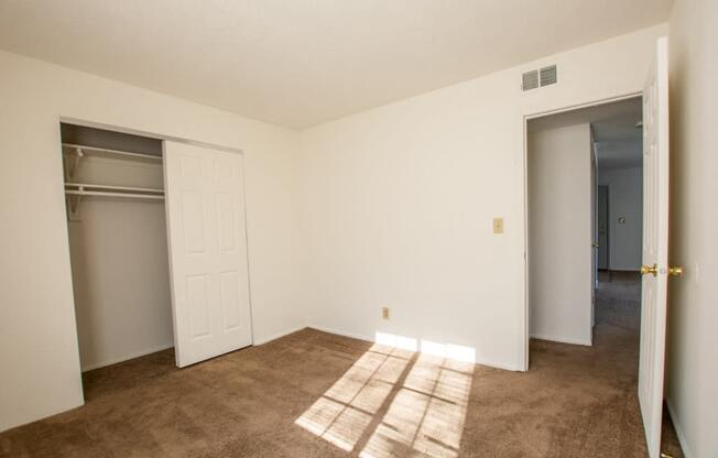 Walk-in Closet at Waterstone Place Apartments, Indianapolis, IN