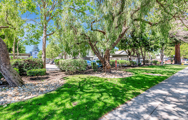 A tree-lined street with a sidewalk and a small garden area.