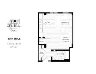 Studio, 1 bath, 510 sqft, $1,245