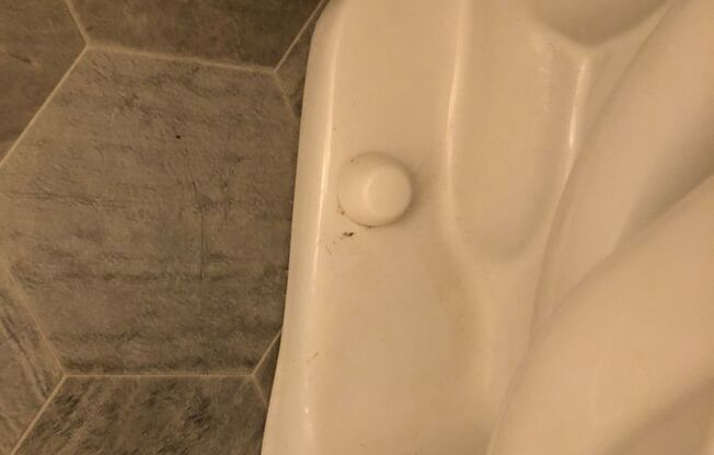 3 beds, 1.5 baths, 1,480 sqft, $1,575, Unit WC-1