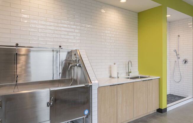 1 bed, 1 bath, 816 sqft, $1,250, Unit 409