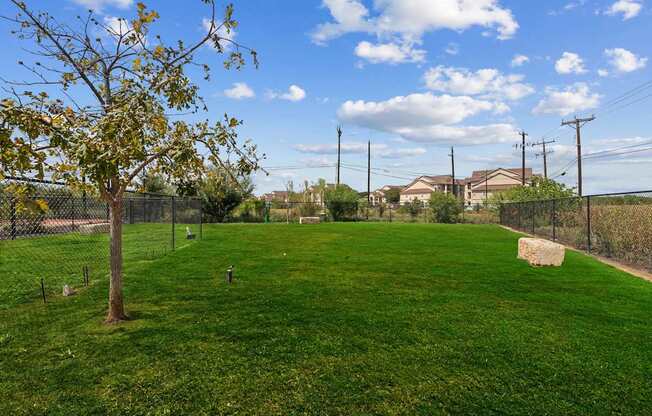 A tree stands in a grassy field with a fence and houses in the background.