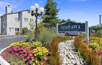 Casablanca Apartment Homes