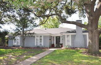 Lovely home w/Sunroom in Plano!