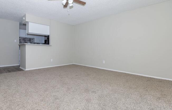 1 bed, 1 bath, 504 sqft, $919