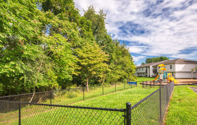 Grassy Dog Area at The Everett  Apartments in Roanoke, VA 24018