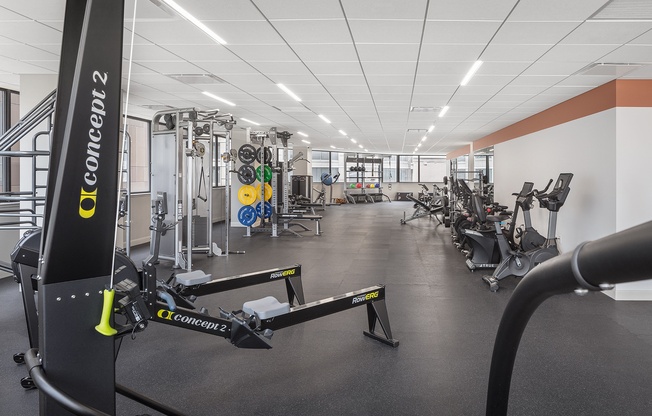 a gym with cardio equipment and weights on the floor