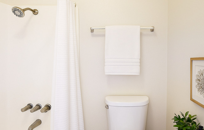 Studio, 1 bath, 410 sqft, $1,595, Unit 233D