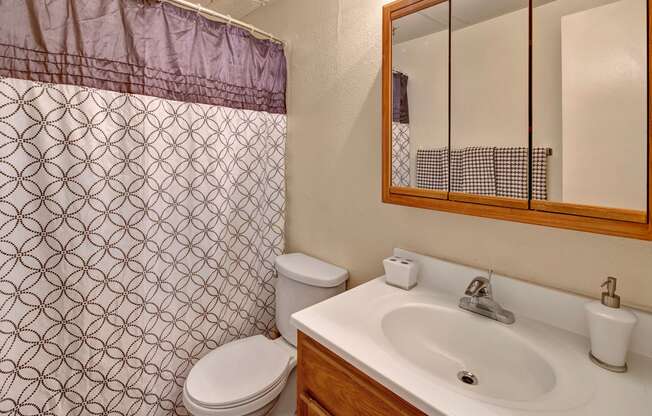College View Bathroom