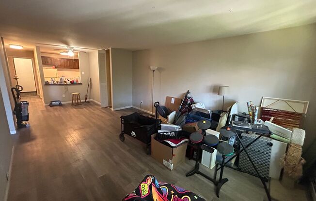 1 bed, 1 bath, $1,145, Unit 307