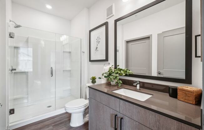 a bathroom with a mirror and a toilet and a shower