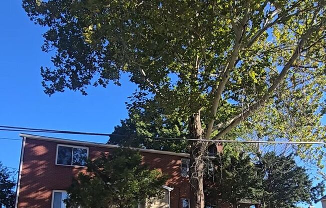 Center Ave