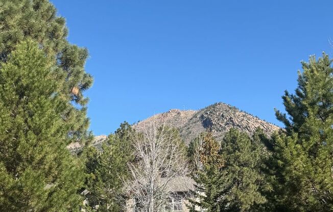 Mt Elden Villas: Large Townhome - 3 Bedroom 2.5 Bath - $3,000