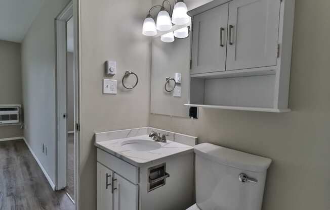 a bathroom with a sink and a mirror and a toilet