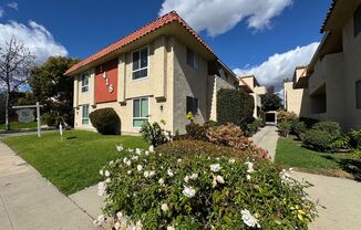 Live in Style: Chic and Contemporary Apartment Rentals