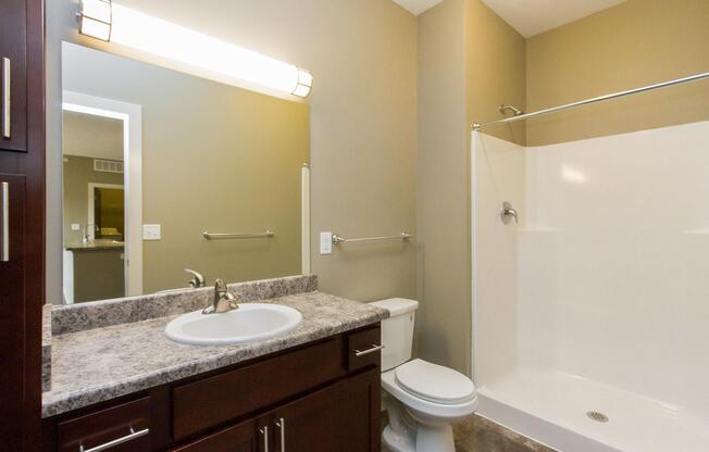 a double sink and large mirror