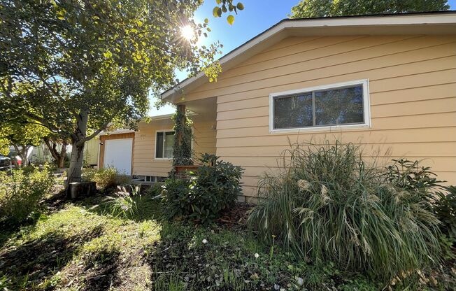 Light-Filled Home with Open Layout, Modern Kitchen, and Private Outdoor Oasis