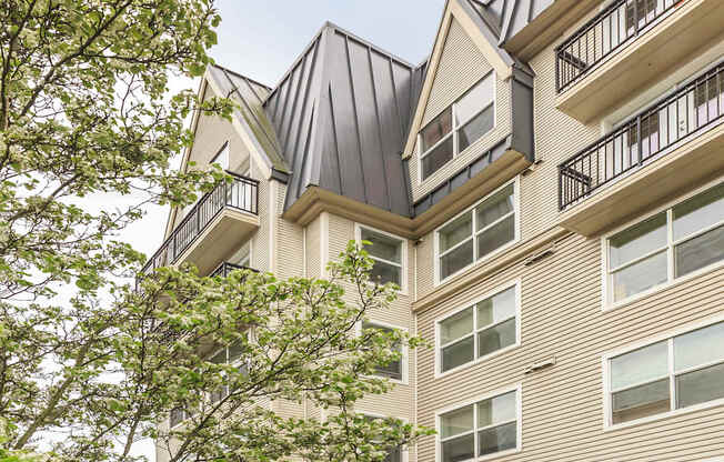 Clearwater and Star Apartments