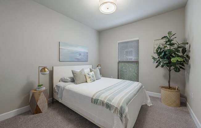 the preserve at ballantyne commons bedroom with bed and potted plant