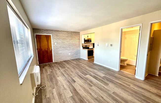 Studio, 1 bath, 480 sqft, $825, Unit 1E