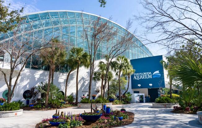 The Florida Aquarium keeps Modera Encore moments from immersive exhibits, waterfront views, and one of Tampa’s most celebrated attractions.