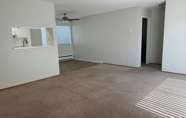 1 bed, 1 bath, 800 sqft, $2,595