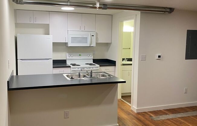 1 bed, 1 bath, 631 sqft, $1,295, Unit Apt. 101