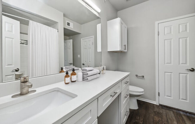 Model bathroom at Bridges at Oakbend, Lewisvillle