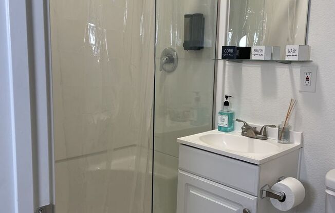 Studio, 1 bath, 260 sqft, $800, Unit 202