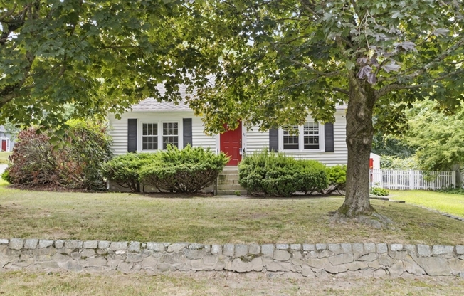 41 WILLOW ST