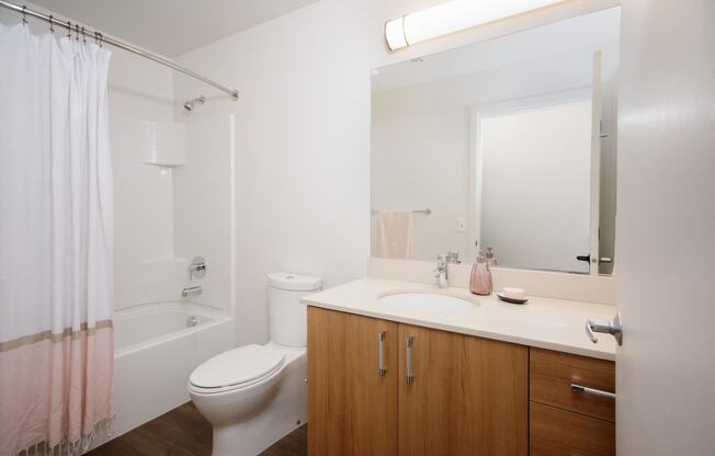 a bathroom with a sink toilet and a shower