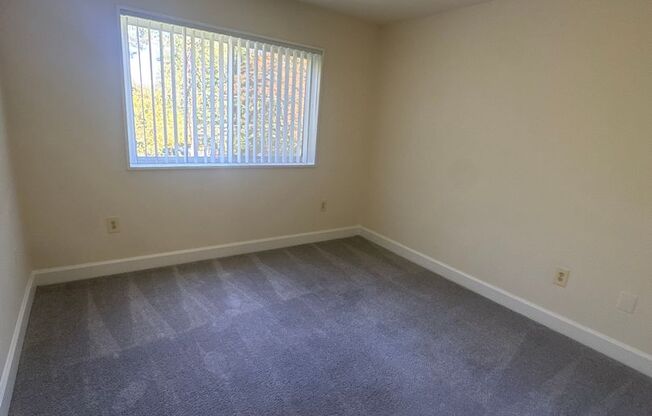 3 beds, 2 baths, 1,300 sqft, $2,300, Unit 3412 #203