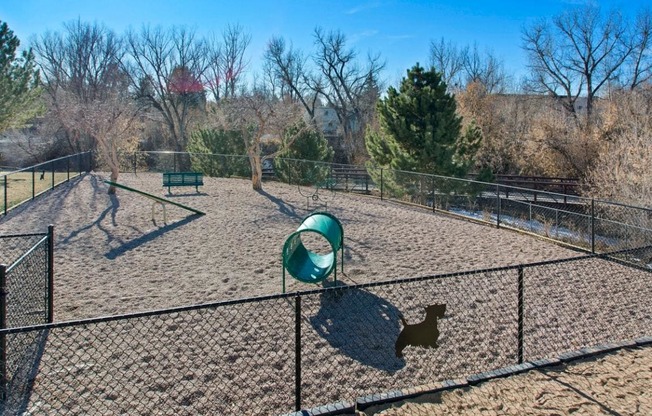 A dog is playing on a playground with a green slide.