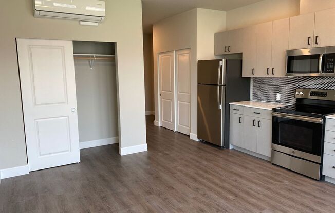 Studio, 1 bath, 327 sqft, $1,499, Unit 417-304