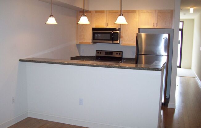 1 bed, 1 bath, $1,300, Unit APARTMENT 306