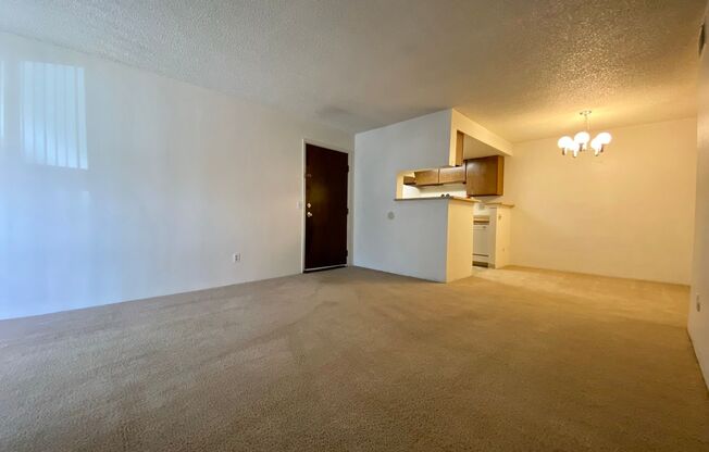 1 bed, 1 bath, $1,250