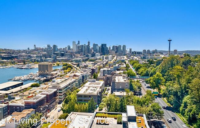 June on South Lake - Amazing Views of South Lake Union!