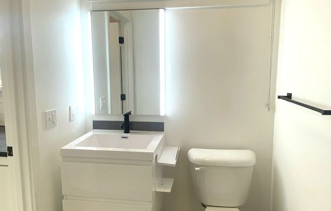 Studio, 1 bath, 246 sqft, $1,233, Unit 106