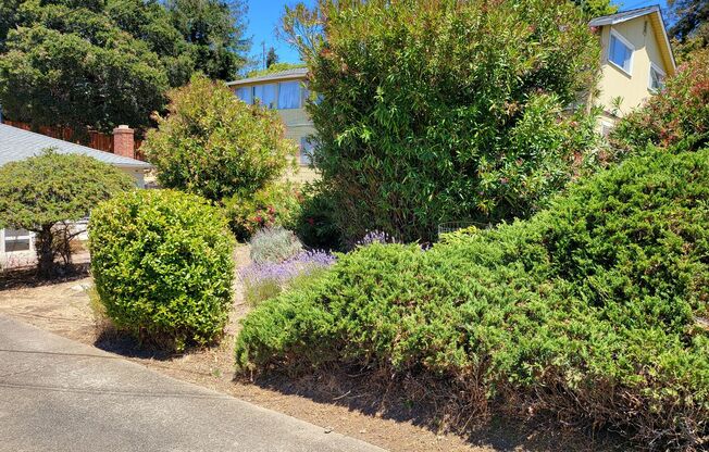Single Story Home Located in the hills of El Cerrito