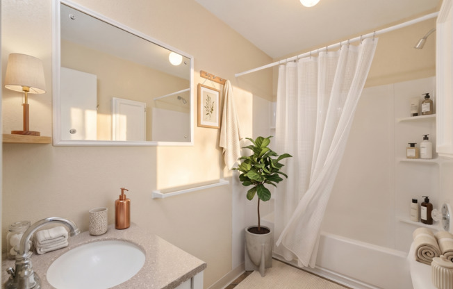 1 bed, 1 bath, 500 sqft, $1,375, Unit 2